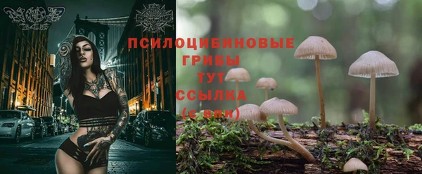 Альфа ПВП Волосово