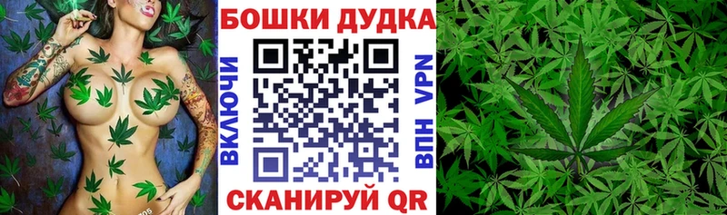 Конопля план  Купить  Динская 